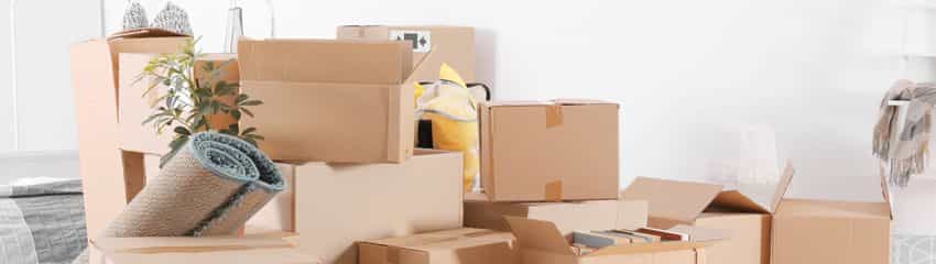 domestic shifting services